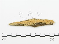 登錄號:F0006371藏品圖，第1張