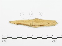 登錄號:F0006371藏品圖，第3張