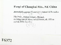 登錄號:F0006372藏品圖，第2張