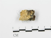 登錄號:F0006372藏品圖，第3張