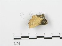 登錄號:F0006372藏品圖，第1張