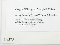 登錄號:F0006373藏品圖，第2張