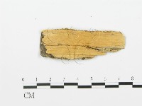 登錄號:F0006373藏品圖，第3張