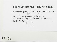 登錄號:F0006374藏品圖，第2張