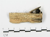 登錄號:F0006375藏品圖，第3張