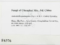 登錄號:F0006376藏品圖，第2張