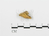 登錄號:F0006376藏品圖，第3張