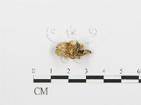 登錄號:F0006376藏品圖，第4張