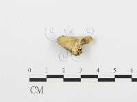 登錄號:F0006376藏品圖，第5張