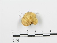 登錄號:F0006377藏品圖，第3張