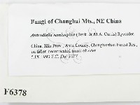 登錄號:F0006378藏品圖，第2張