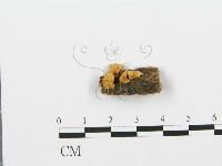 登錄號:F0006378藏品圖，第3張