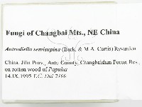 登錄號:F0006379藏品圖，第2張