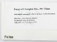 登錄號:F0006380藏品圖，第2張