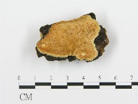 登錄號:F0006380藏品圖，第1張