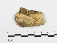 登錄號:F0006380藏品圖，第3張