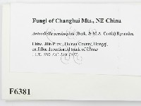 登錄號:F0006381藏品圖，第2張