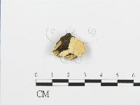登錄號:F0006382藏品圖，第1張