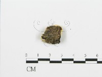 登錄號:F0006382藏品圖，第3張