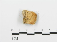 登錄號:F0006383藏品圖，第1張