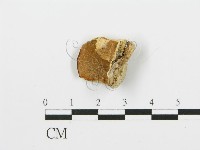 登錄號:F0006383藏品圖，第3張