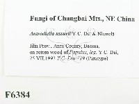 登錄號:F0006384藏品圖，第2張