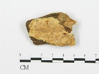 登錄號:F0006384藏品圖，第1張