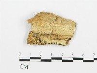 登錄號:F0006384藏品圖，第3張