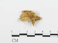 登錄號:F0006385藏品圖，第1張