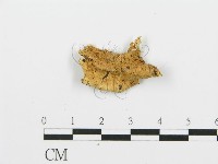 登錄號:F0006385藏品圖，第3張