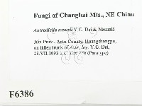 登錄號:F0006386藏品圖，第2張