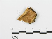 登錄號:F0006387藏品圖，第1張