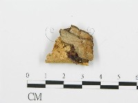 登錄號:F0006387藏品圖，第3張