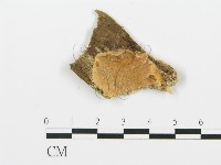 登錄號:F0006388藏品圖，第1張