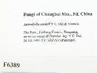 登錄號:F0006389藏品圖，第2張