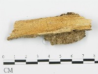 登錄號:F0006389藏品圖，第3張