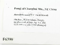 登錄號:F0006390藏品圖，第2張