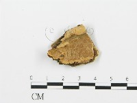 登錄號:F0006390藏品圖，第1張