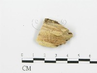 登錄號:F0006390藏品圖，第3張