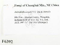 登錄號:F0006392藏品圖，第2張