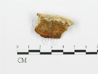 登錄號:F0006392藏品圖，第1張