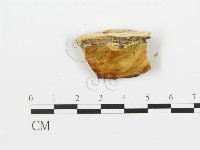 登錄號:F0006392藏品圖，第3張