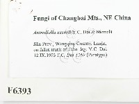 登錄號:F0006393藏品圖，第2張