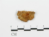 登錄號:F0006393藏品圖，第1張