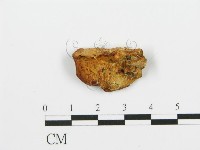 登錄號:F0006393藏品圖，第3張