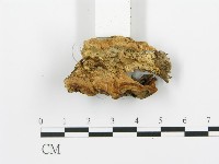 登錄號:F0006394藏品圖，第3張