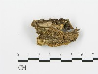 登錄號:F0006394藏品圖，第5張