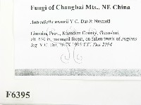 登錄號:F0006395藏品圖，第2張