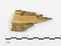 登錄號:F0006395藏品圖，第3張