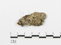 登錄號:F0006396藏品圖，第3張